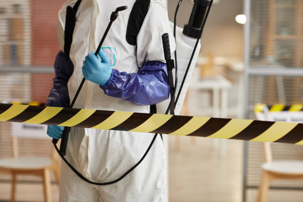 Professional Sewage Cleanup technician working in Spring Hill, FL